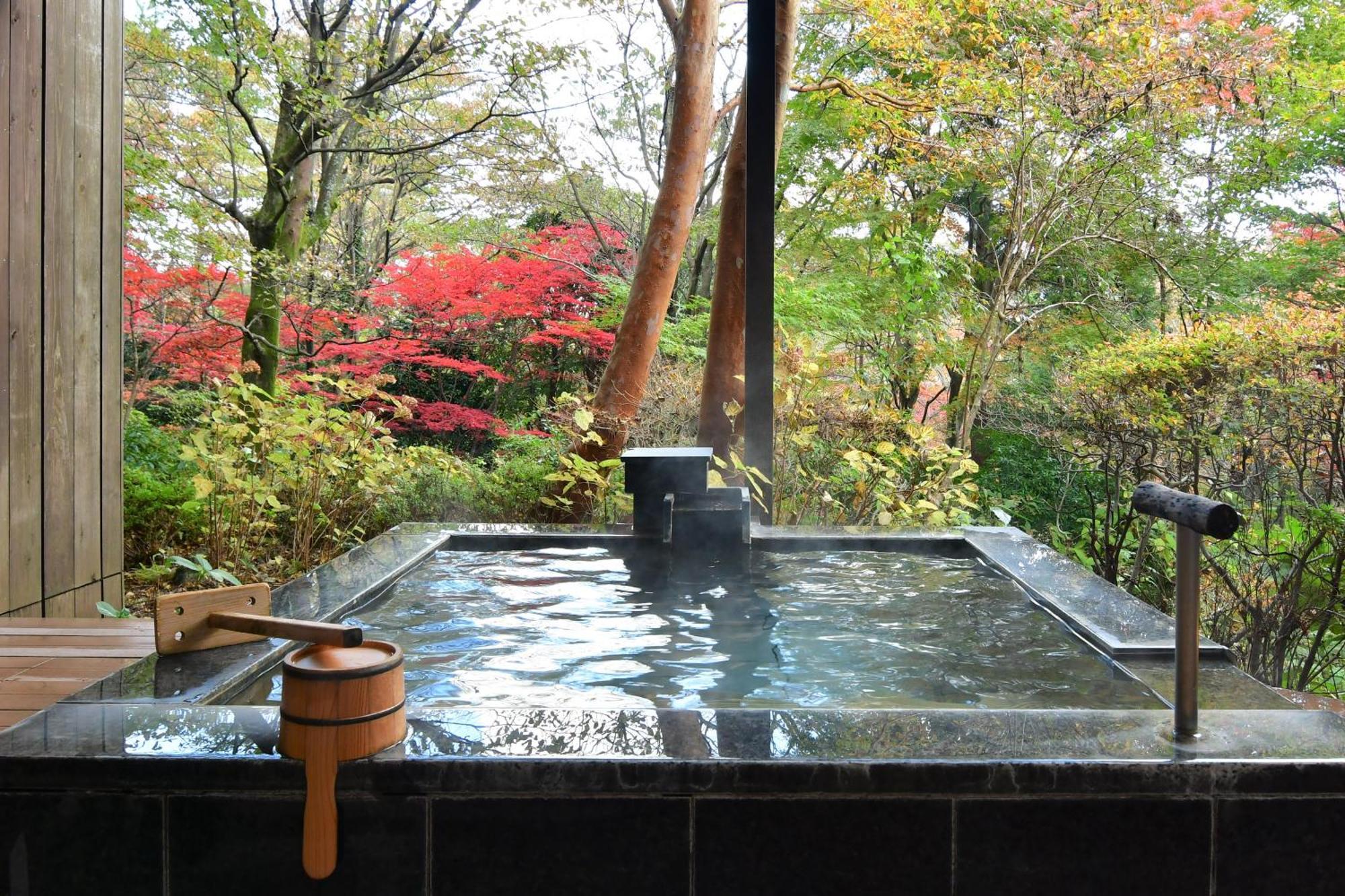 Hotel Hakone Gora Byakudan Exterior foto